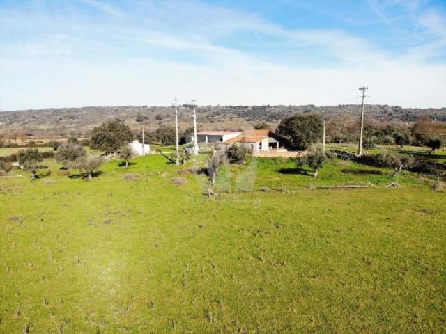 Terreno venda em Castelo Branco, Idanha-a-nova