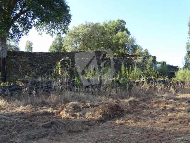 Terreno venda em Castelo Branco, Idanha-a-nova