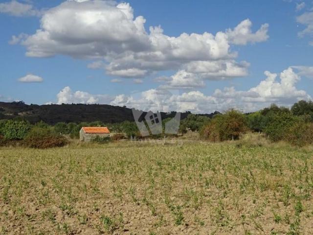 Terreno venda em Castelo Branco, Idanha-a-nova