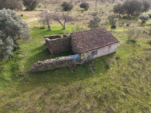 Terreno venda em Castelo Branco, Idanha-a-nova