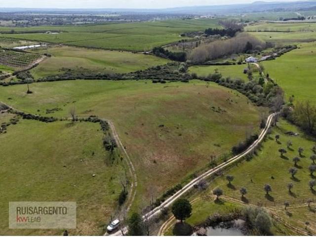 Terreno venda em Castelo Branco, Idanha-a-nova