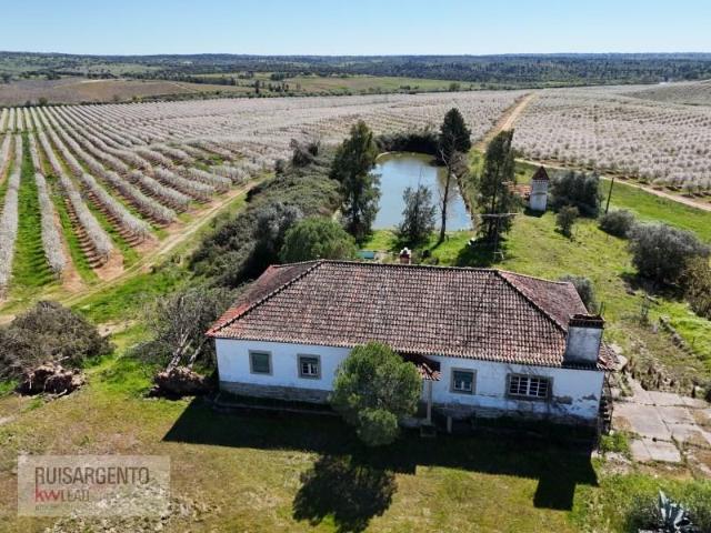 Terreno venda em Castelo Branco, Idanha-a-nova
