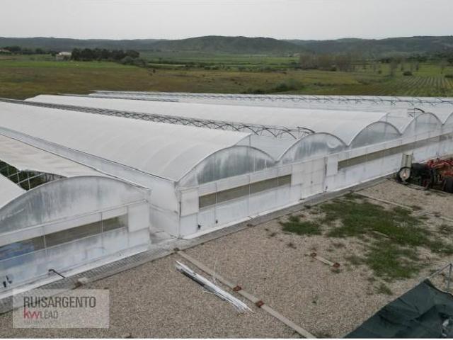 Terreno alugar em Castelo Branco, Idanha-a-nova