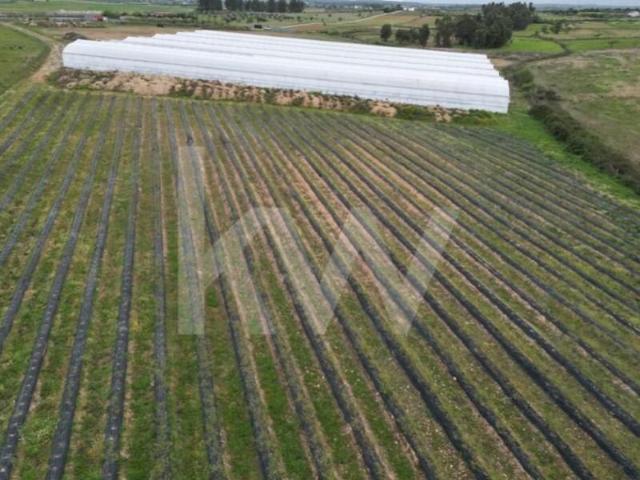 Terreno venda em Castelo Branco, Idanha-a-nova