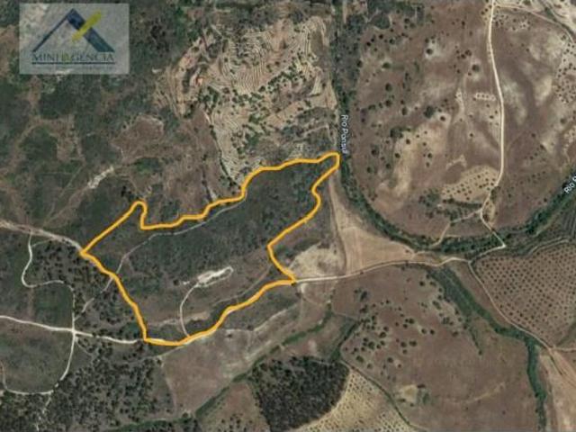 Terreno venda em Castelo Branco, Idanha-a-nova