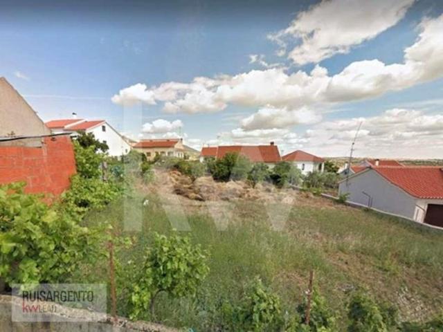 Terreno venda em Castelo Branco, Idanha-a-nova