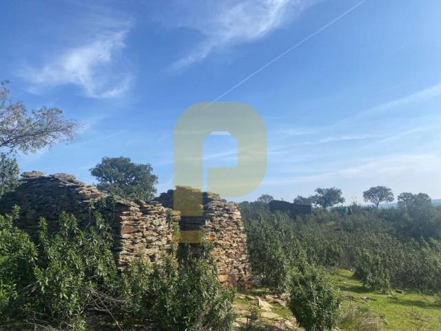 Terreno venda em Castelo Branco, Idanha-a-nova