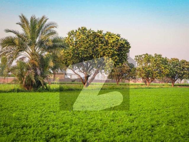 Land for sale in Faisalabad, Islamabad Capital Territory