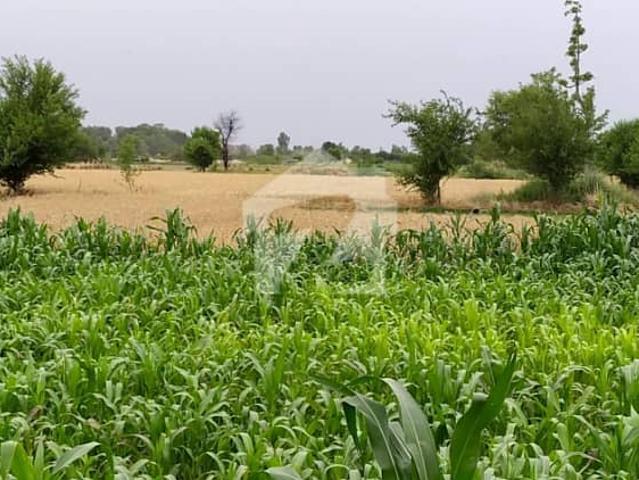 Land for sale in Faisalabad, Islamabad Capital Territory