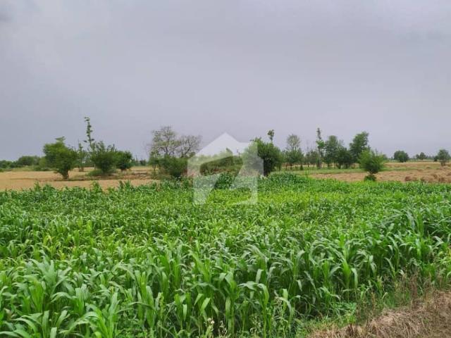 Land for sale in Faisalabad, Islamabad Capital Territory