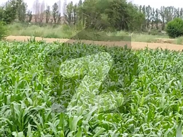 Land for sale in Faisalabad, Islamabad Capital Territory