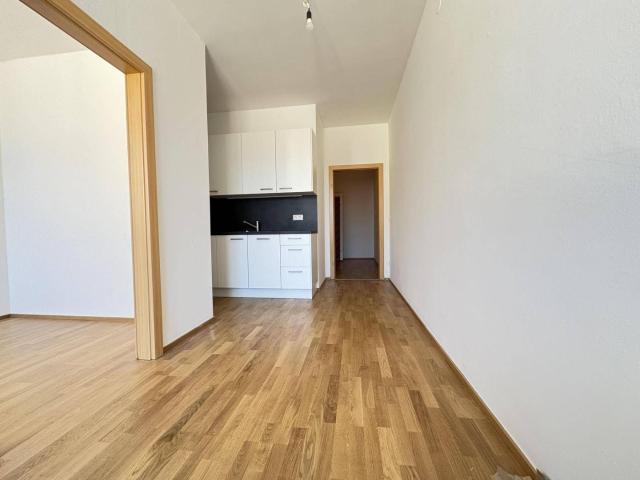 Apartment mieten in Linz, Oberösterreich