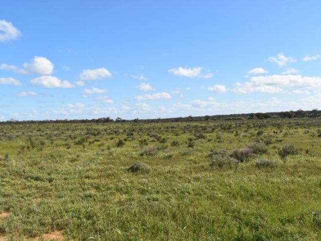 Cottage for sale in Swan Reach, South Australia