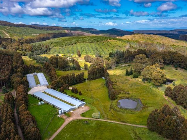 Property for sale in Port Arthur, Tasmania