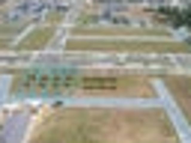Land for sale in Awhitu
