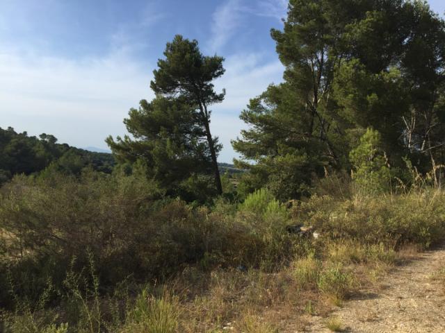 Casa Rural en venta en Pla de Mallorca, Baleares