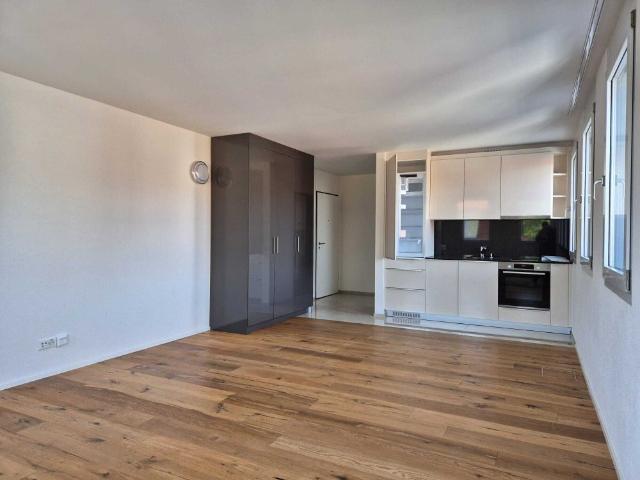 Apartment mieten in Binningen, Basel-Landschaft