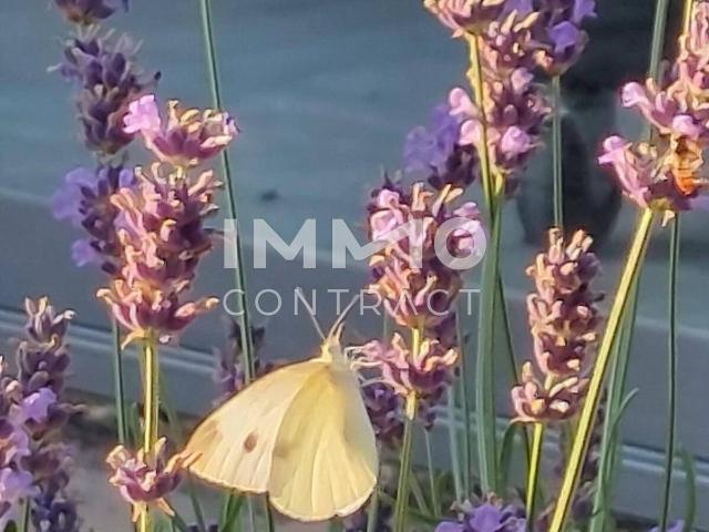 Apartment kaufen in Linz, Oberösterreich