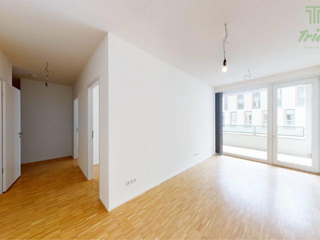 Apartment mieten in Mainz, Rheinland-Pfalz