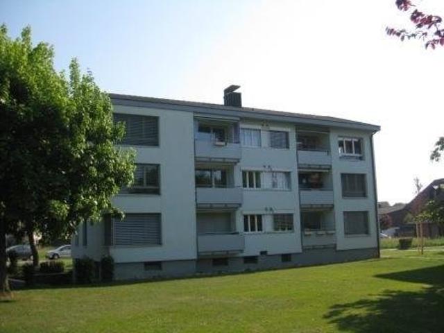 Wohnung mieten in Erlach, Bern