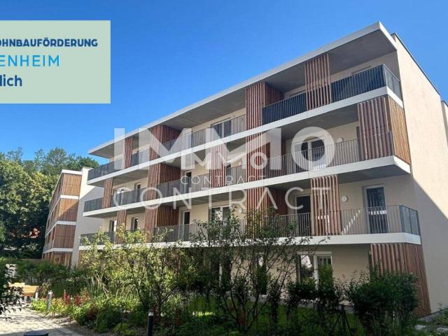 Apartment kaufen in Weitern, St. Pölten