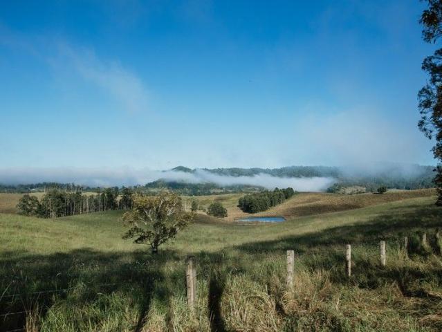 Cottage for sale in Wiangaree, New South Wales