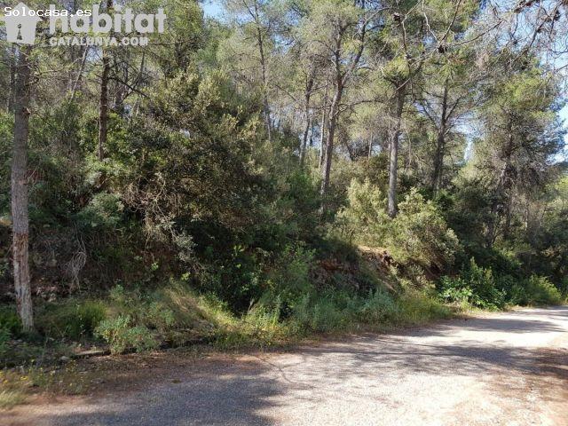 Local Comercial en venta en Gelida, Barcelona