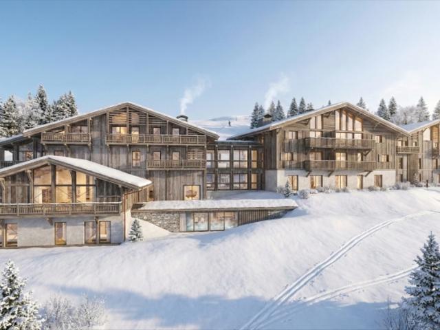 Appartement vente à Bonneville, Praz-sur-arly