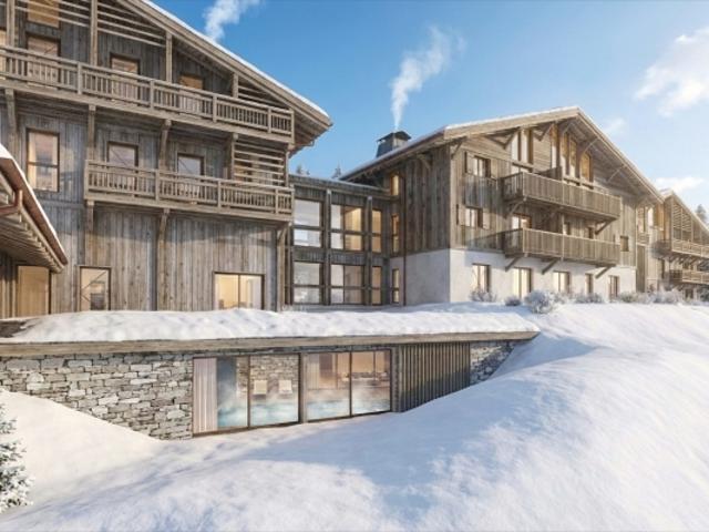 Appartement vente à Bonneville, Praz-sur-arly