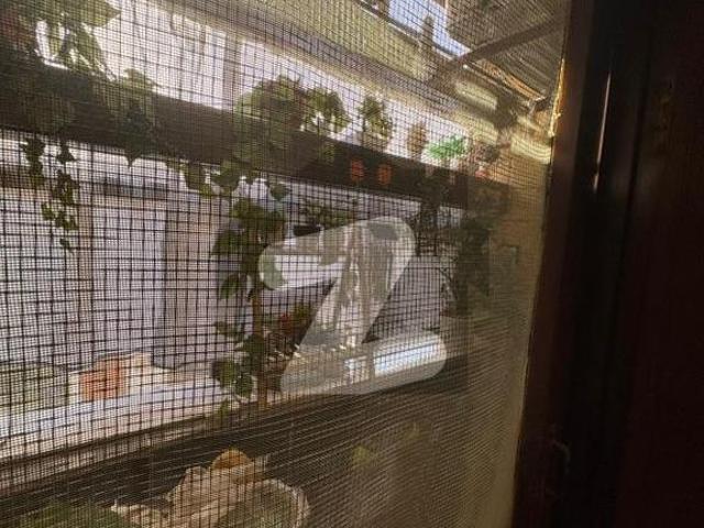 Apartment for rent in Saddar Town, North Waziristan