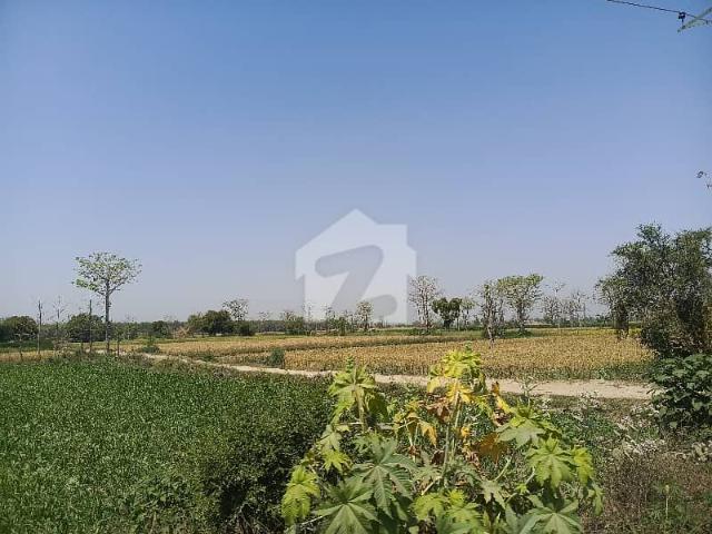 Land for sale in Kasur, Islamabad Capital Territory