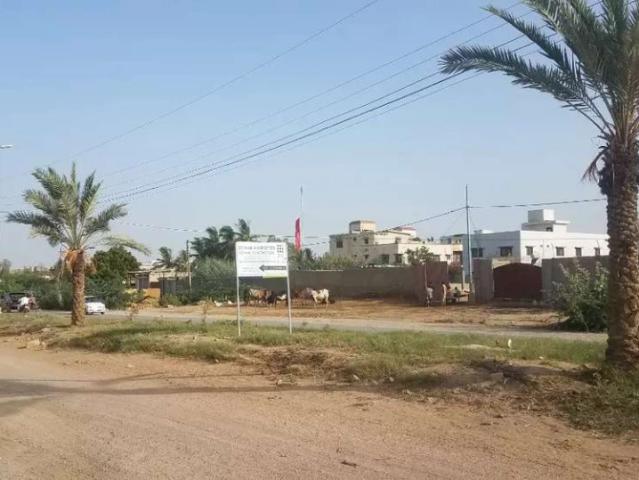 Commercial for rent in North Waziristan, Federally Administered Tribal Areas fata