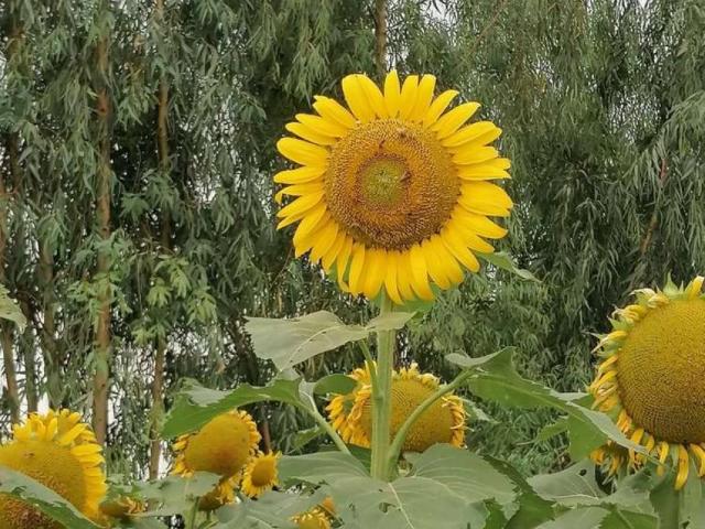 Land for sale in حضرو, راولپنڈی ڈویژن
