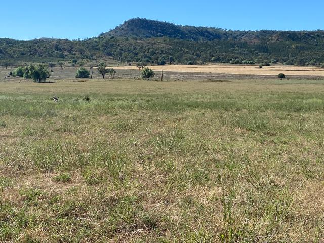 Cottage for sale in Upper Horton, New South Wales