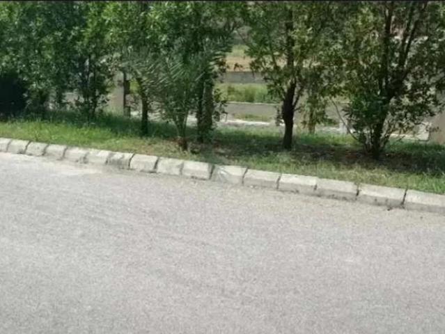 Land for sale in Islamabad