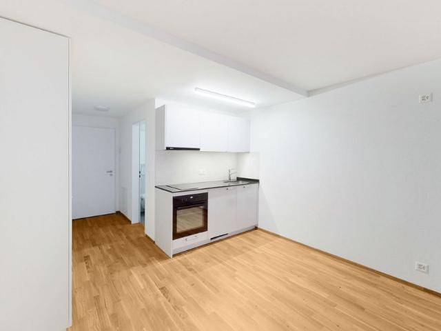 Apartment mieten in Lü