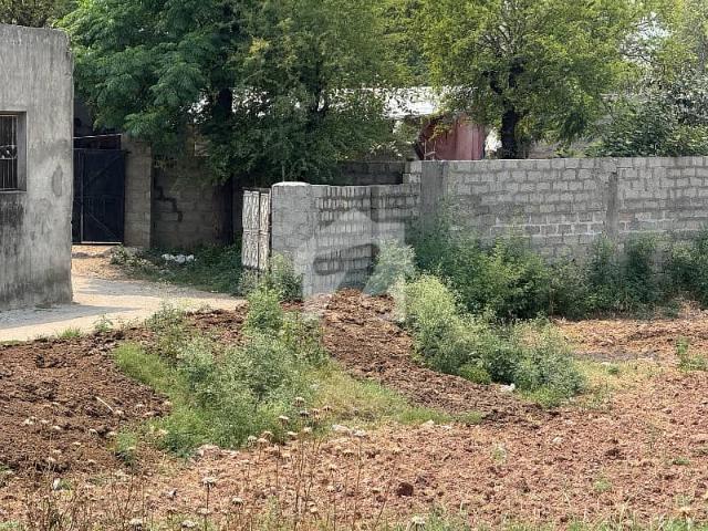 Property for rent in Islamabad