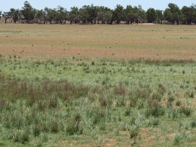 Property for sale in Sunnybrae, South Australia