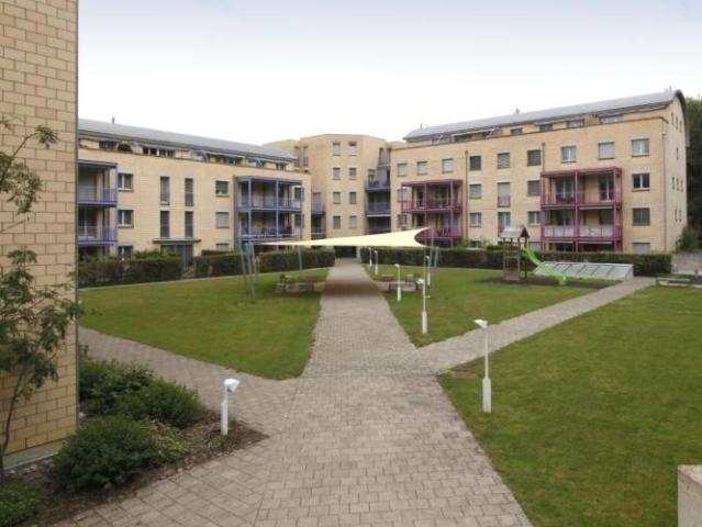 Apartment mieten in Bitzi, Bischofszell