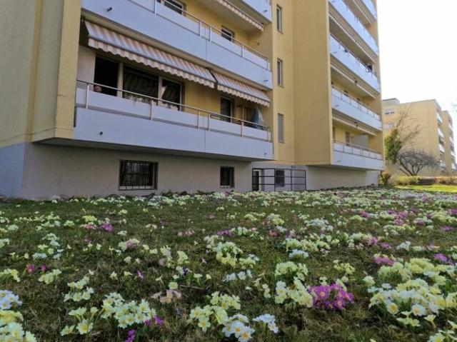 Wohnung mieten in Grenchen, Solothurn