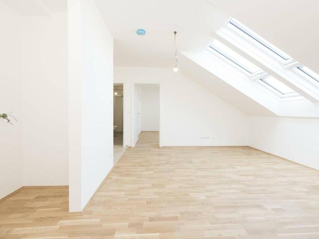 Apartment kaufen in Kaindorf an der Sulm