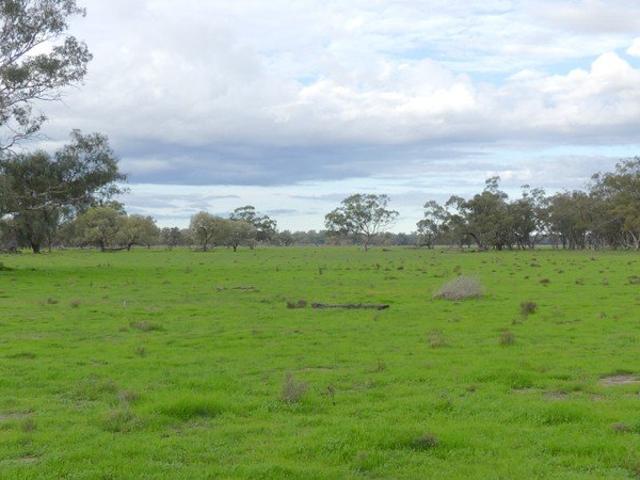 Acreage for sale in Warren, New South Wales