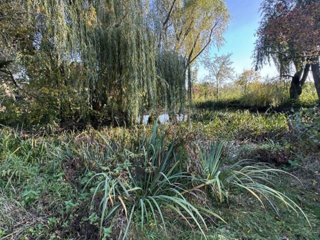 Grundstück kaufen in Biedermannsdorf, Niederösterreich