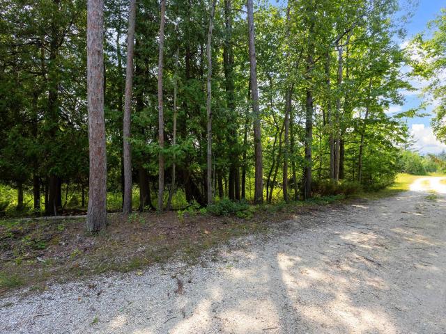 Land for sale in Wisconsin