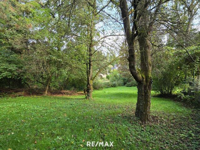 Immobilie kaufen in Holzheim, Leonding