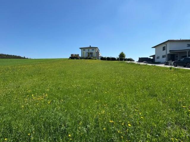 Grundstück kaufen in Gaspoltshofen, Oberösterreich