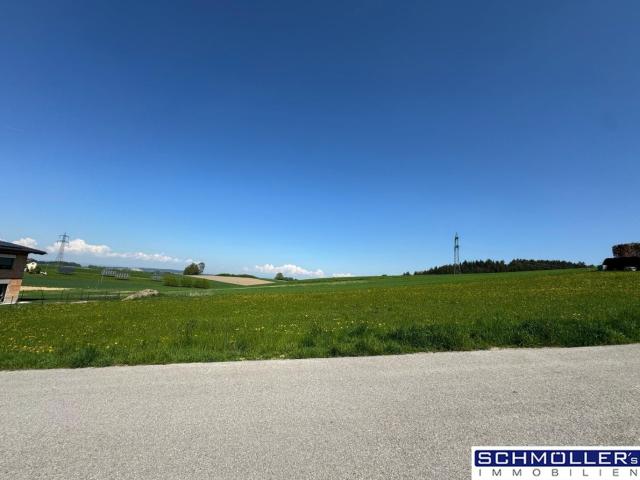 Grundstück kaufen in Gaspoltshofen, Oberösterreich