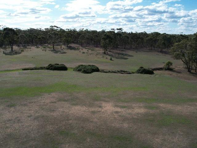Land for sale in Dunolly, Victoria