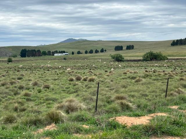 Land for sale in Michelago, New South Wales