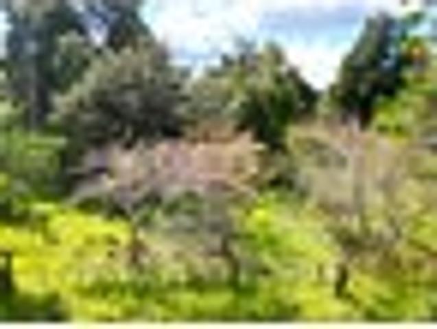Land for sale in Ohaeawai, Northland